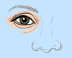 eye