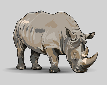 rhinoceros