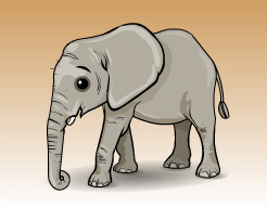 elephant