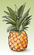 pineapple