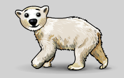 polar bear