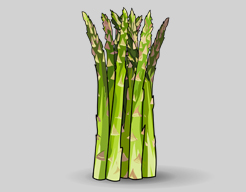 asparagus