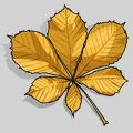 chestnut leaf