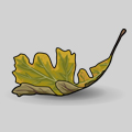 oak leaf