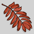 leaf of rowan