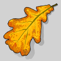 oak leaf