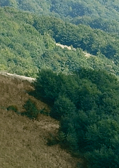 mountain - detail